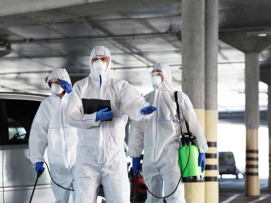 Pest control technicians at work